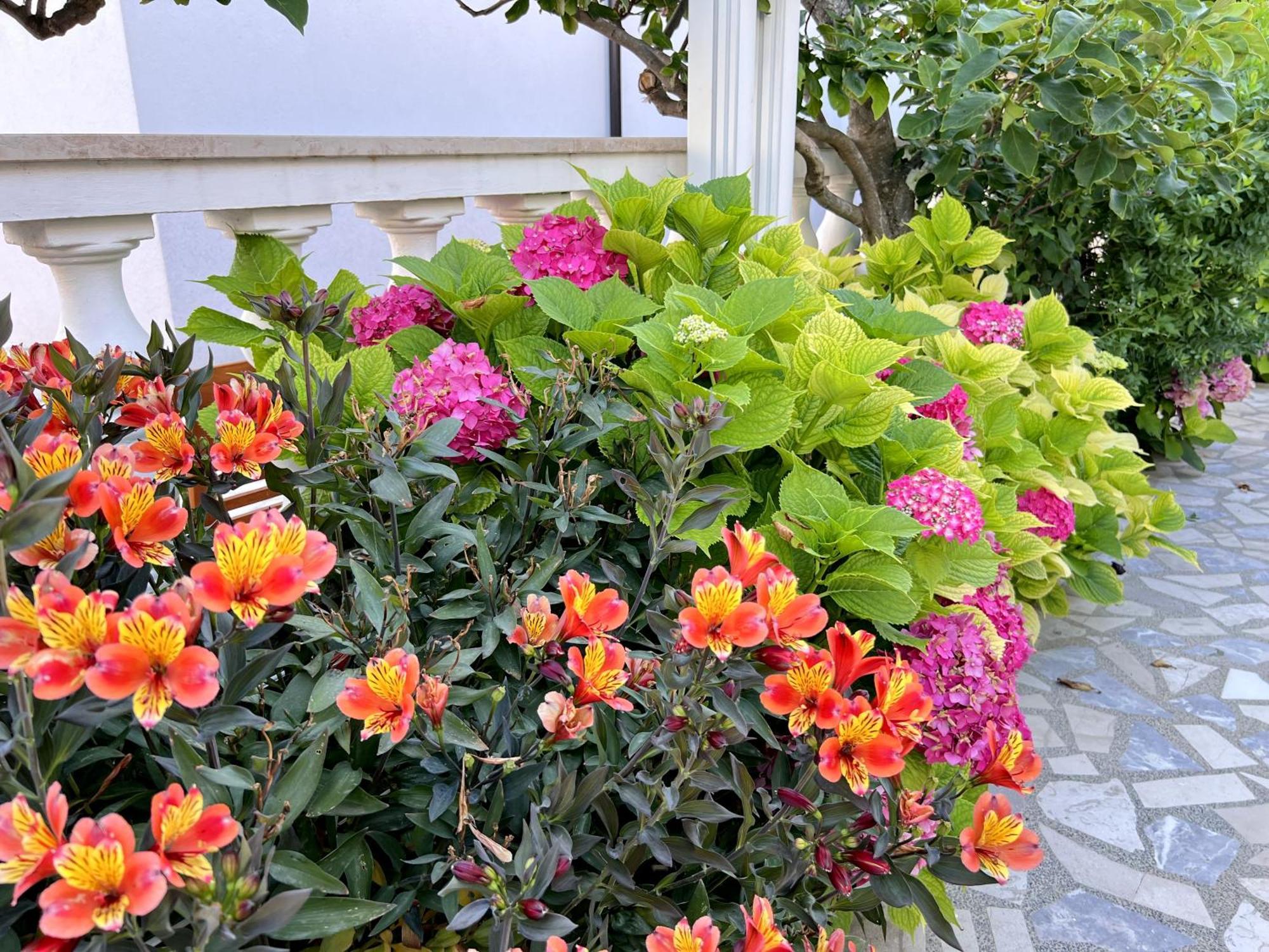 Bed & Breakfast Rab Palit Εξωτερικό φωτογραφία