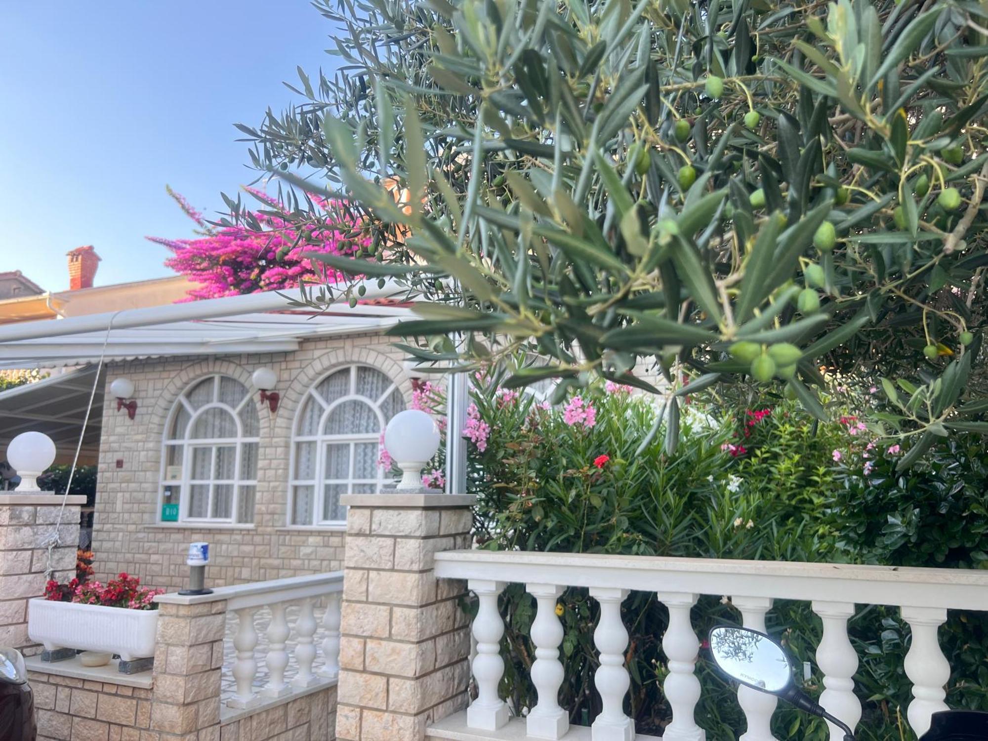 Bed & Breakfast Rab Palit Εξωτερικό φωτογραφία